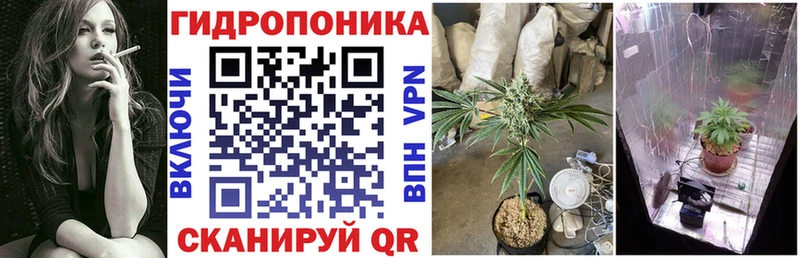 Продажа наркотиков Пикалёво Каннабис  COCAIN  Гашиш 