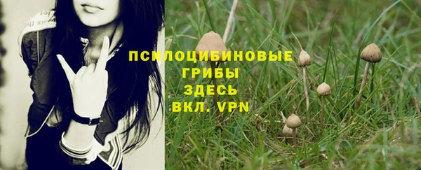 прущая мука Белокуриха