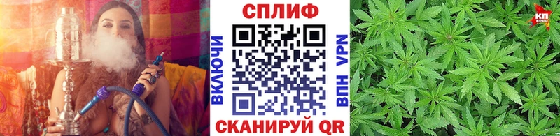 наркотики  Пикалёво  hydra маркетплейс  Марихуана тримм 